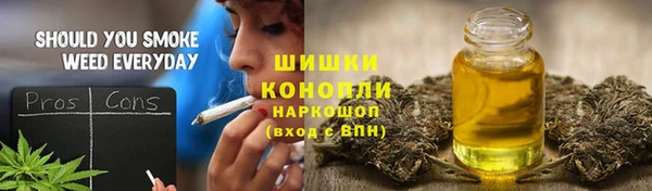 PSILOCYBIN Каменка