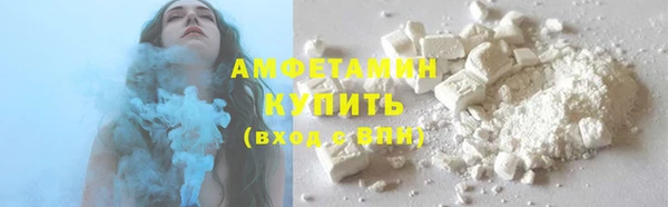 PSILOCYBIN Каменка