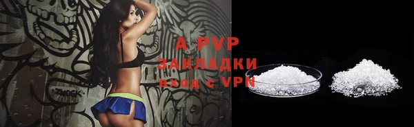 PSILOCYBIN Каменка