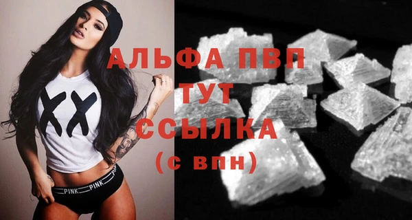 PSILOCYBIN Каменка