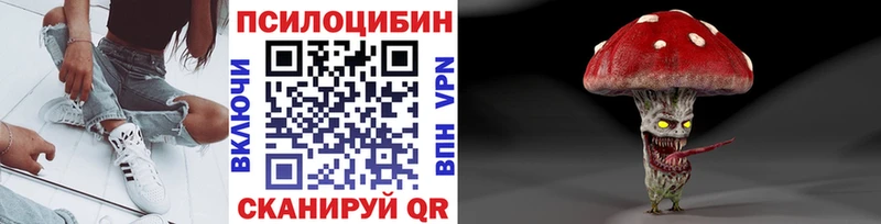 Галлюциногенные грибы Psilocybe  Купить  Новое Девяткино 